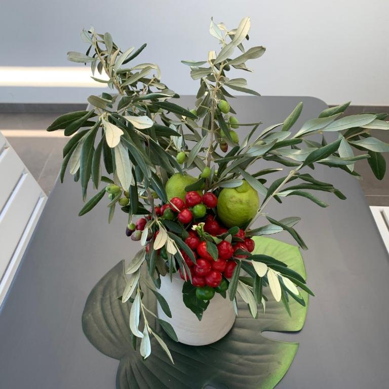 Fly on the Sea - Appartamento Attico - 52