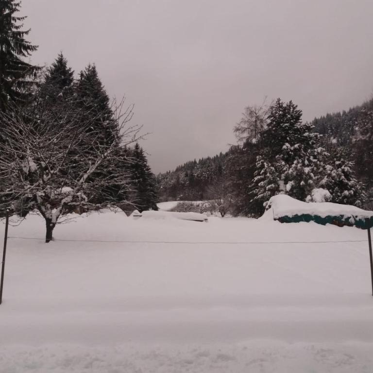 Appartamento Cologna - Appartamento con 1 Camera da Letto - 20