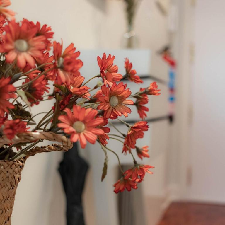 CENTRAL AND CHARMING - Guggenheim & Old Town Bilbao - Apartamento de 2 dormitorios - 36