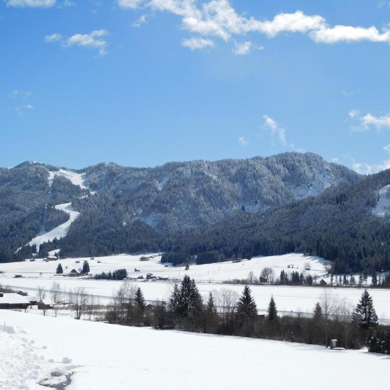 Haus Jank - Apartment mit Seeblick - 30