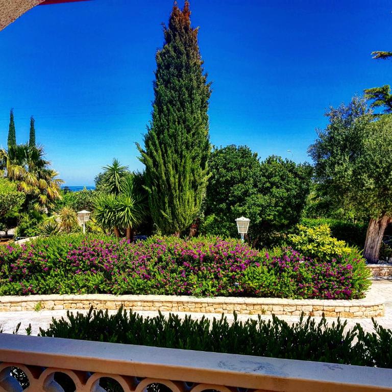 All`Ombra del Carrubo - Monolocale Familiare - 2