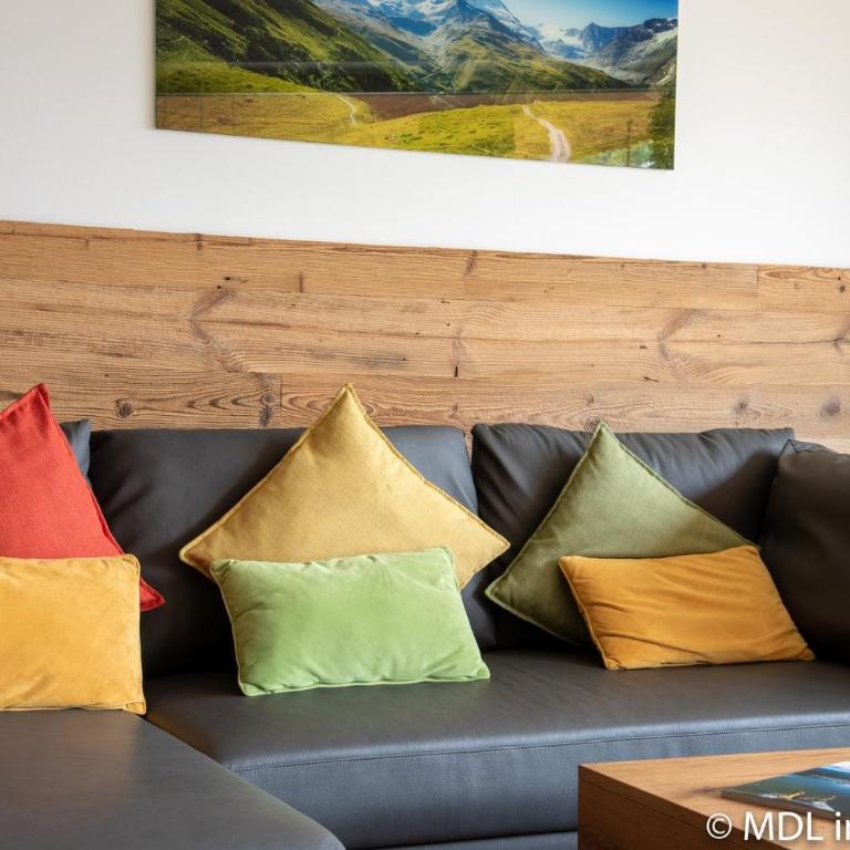 Apartments Adlerhorst Top 1 Zell am See with private sauna and Zell am See Kaprun summercard in summer - Apartment with Terrace - 10