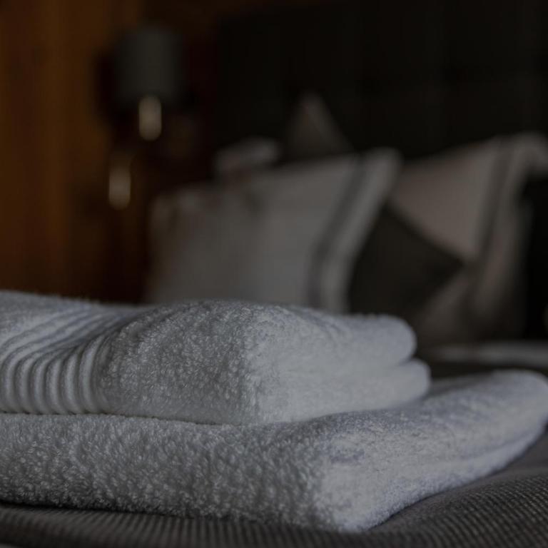 Apartments Adlerhorst Top 1 Zell am See with private sauna and Zell am See Kaprun summercard in summer - Apartment with Terrace - 28
