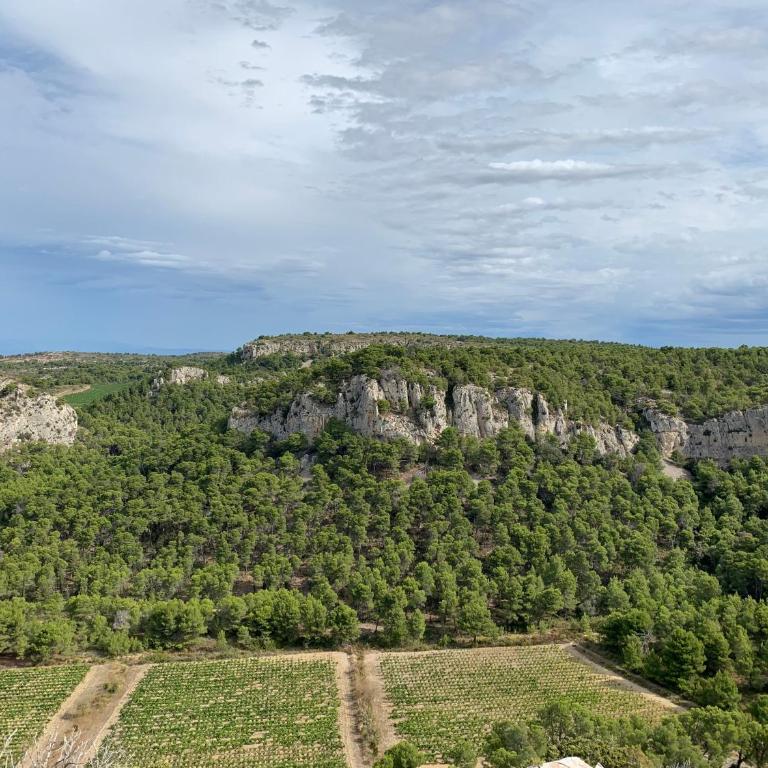 Gruissan Pleine vue sur port - Appartement 1 Chambre - 19