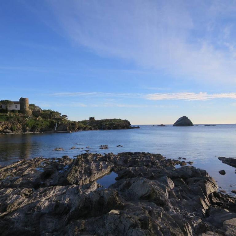 come and enjoy ! - Apartamento de 1 dormitorio - 11