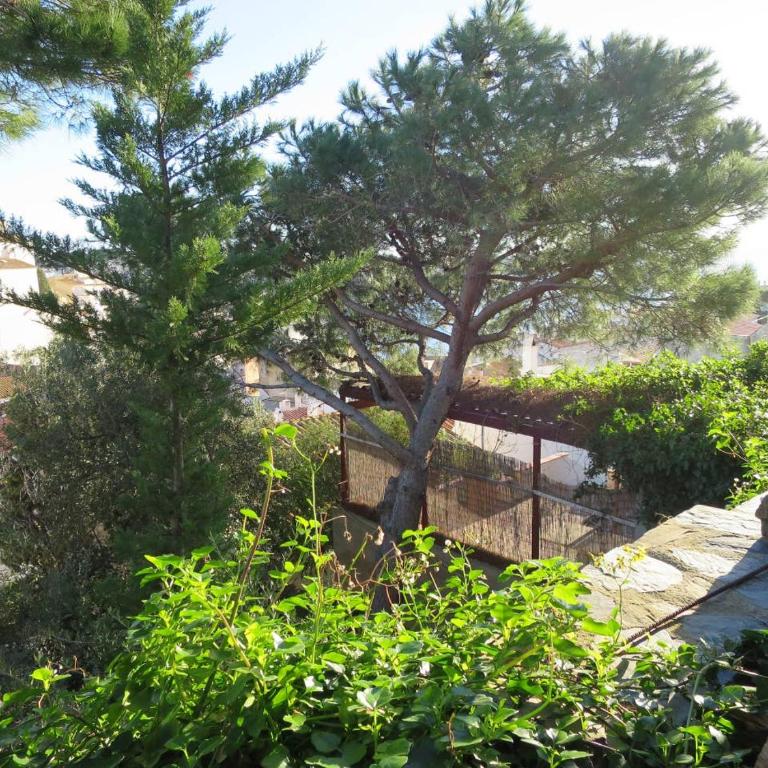 come and enjoy ! - Apartamento de 1 dormitorio - 9