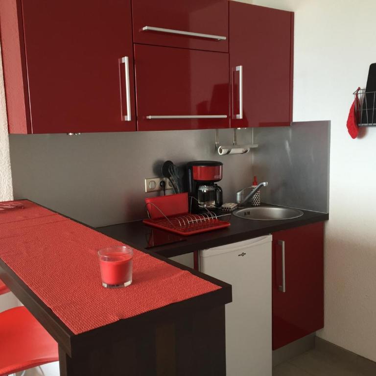 Bel appartement F1 cabine 30m² face mer parking - Appartement 1 Chambre - 4