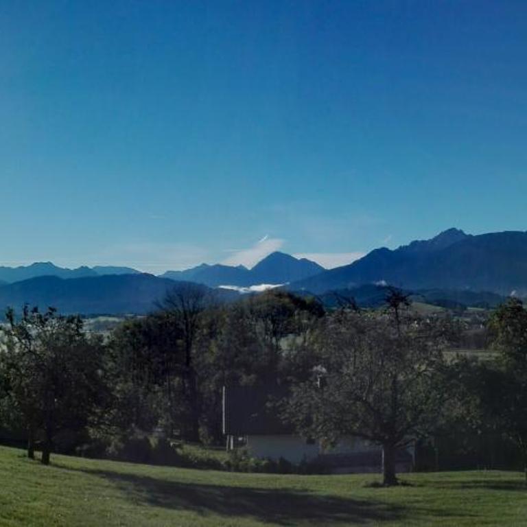 Ferienwohnung Alpenpanorama - Apartment mit 1 Schlafzimmer - 24