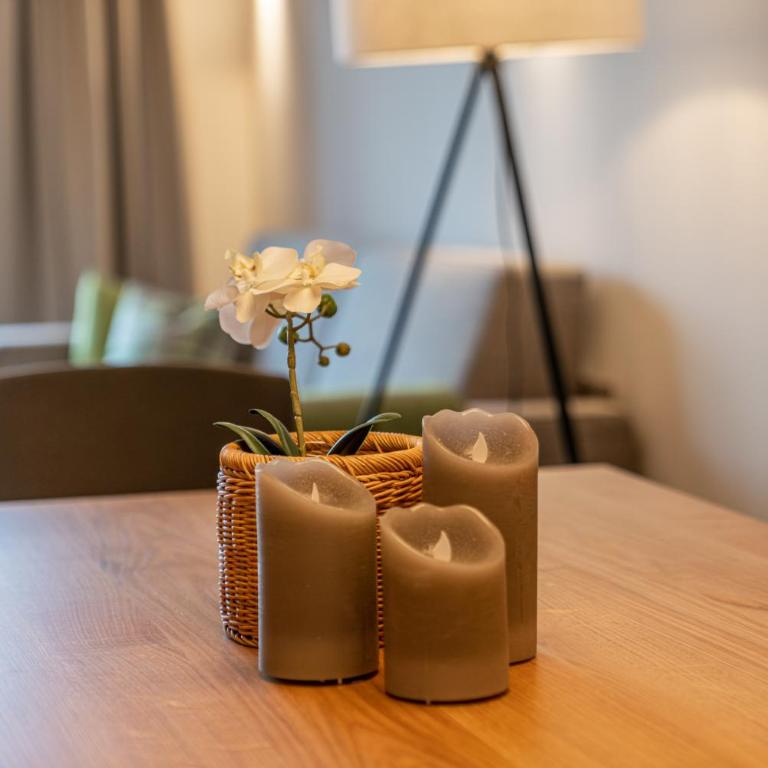 Skylodge Alpine Homes - Comfort Apartment with Terrace and panoramic view - 5