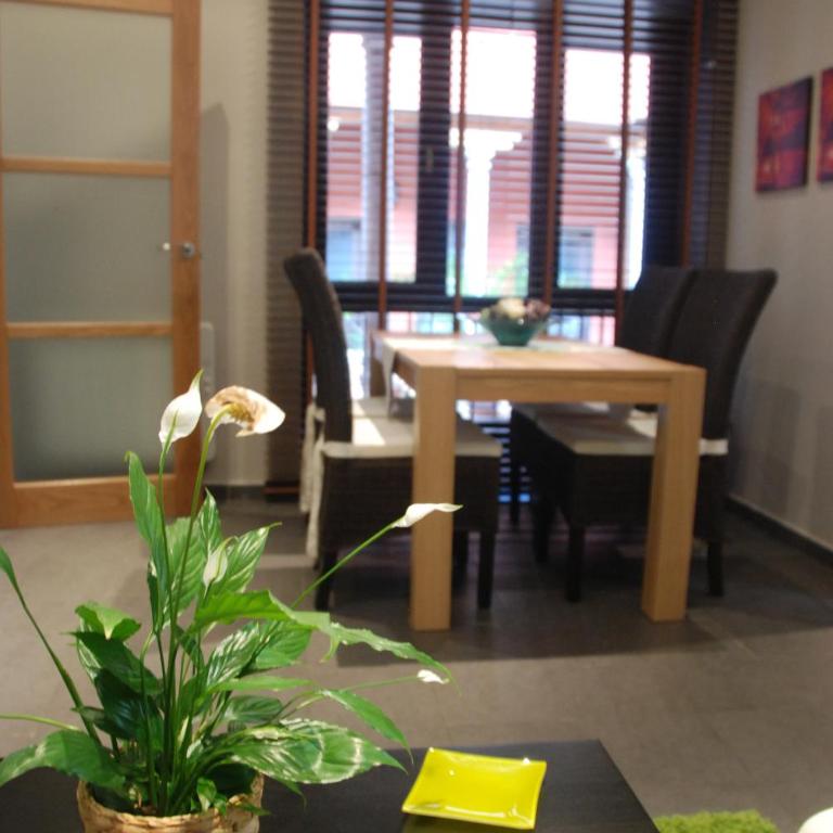 Apartamento Judería - Apartamento de 1 dormitorio (2 - 4 adultos) - 27