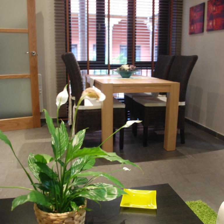 Apartamento Judería - Apartamento de 1 dormitorio (2 - 4 adultos) - 29