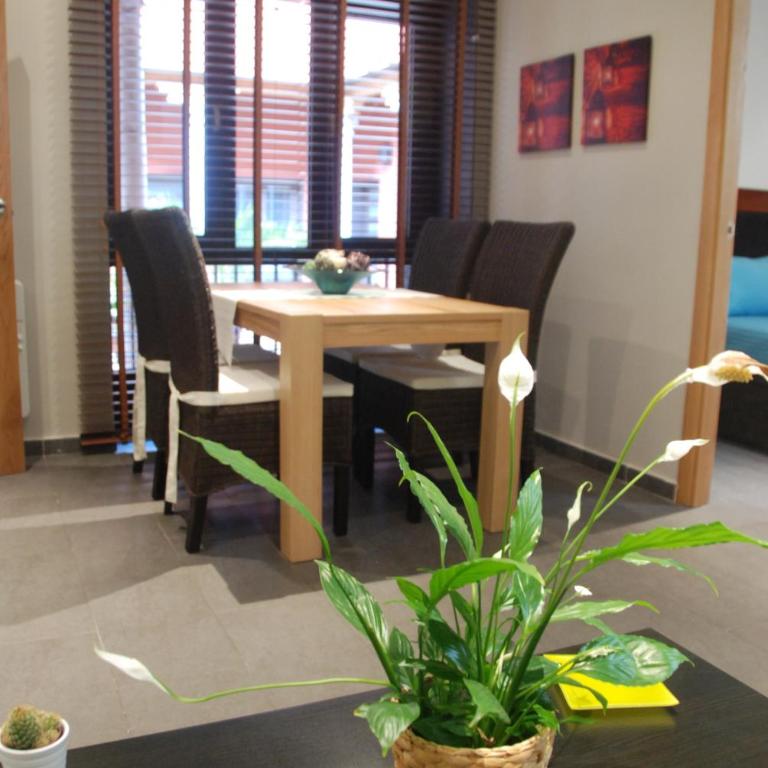 Apartamento Judería - Apartamento de 1 dormitorio (2 - 4 adultos) - 30