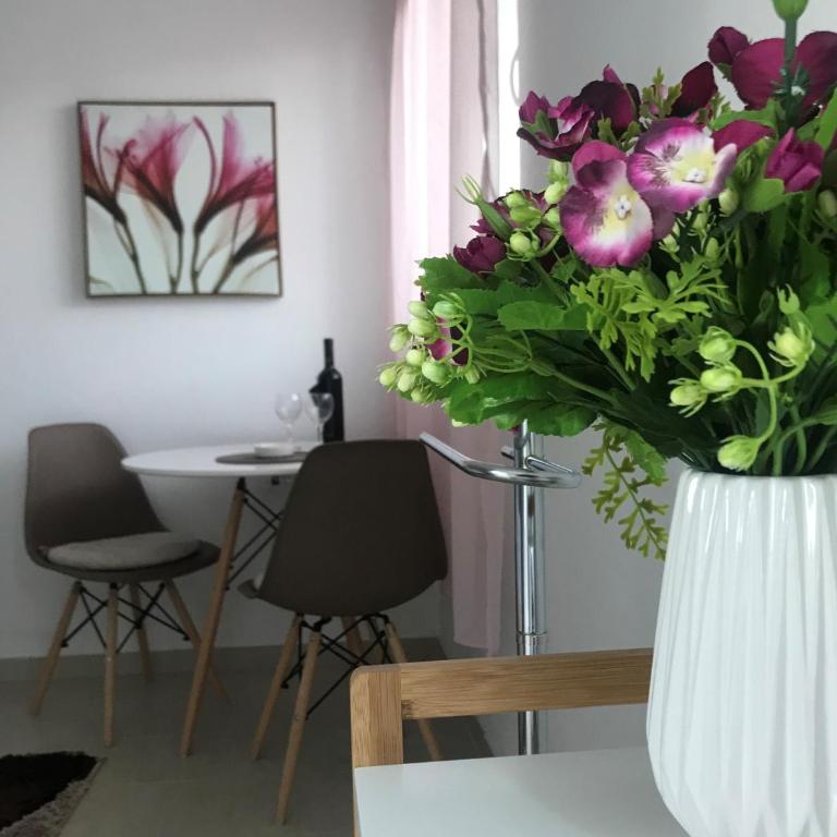 Apartmani Breze - Studio Apartment - 1