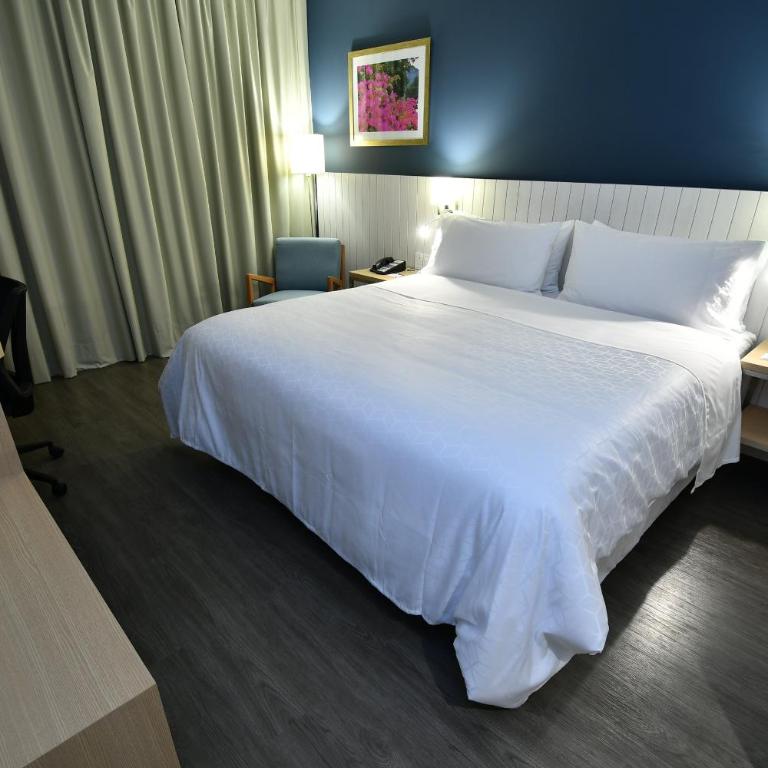 Holiday Inn Express Asuncion Aviadores by IHG - Habitación Estándar - Cama extragrande - 8