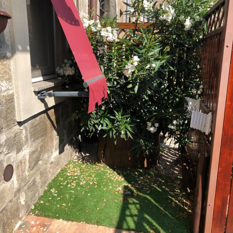 Agriturismo Specchio Del Lago - Apartamento Económico de un dormitorio - 5