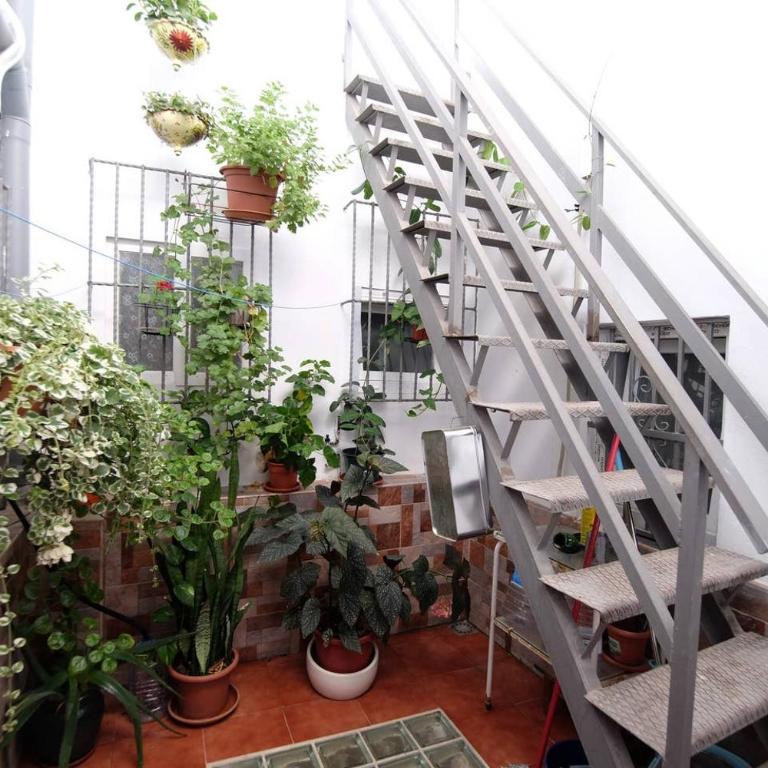 La Merced 1 - Apartamento con terraza - 6