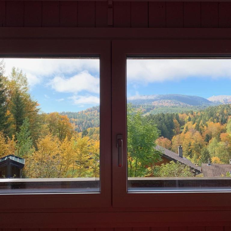 Chalet OTT - apartment in the mountains with sauna - Duplex Apartment - 14