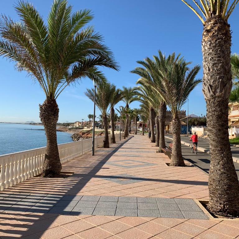 Higuericas Costa 412 - Rooftop terrace and pool view 300 m from beach - Apartment mit 2 Schlafzimmern - 31