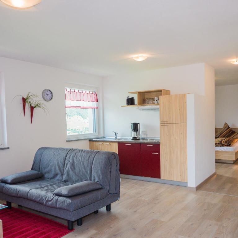 Gasserhof Garni & Apartment - Appartamento Monolocale - 1