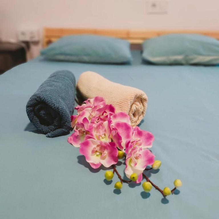 Cactus 2 bedroom Apartment on Calle San Miguel Minutes from the beach BY NAMASTE ELITE - Two-Bedroom Apartment - 20