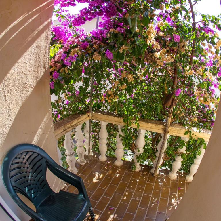 Guest House Lotos - Studio - 2