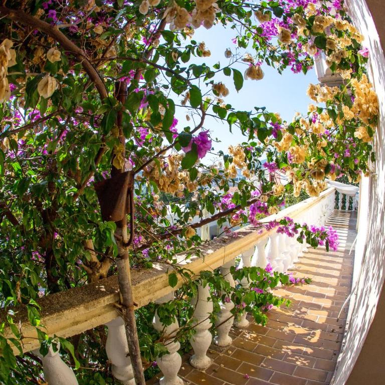 Guest House Lotos - Studio - 4