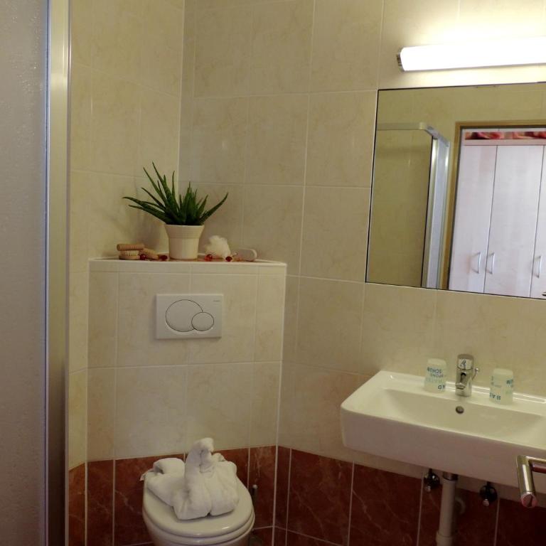 Gästehaus Regina - Habitación Doble con balcón - 6