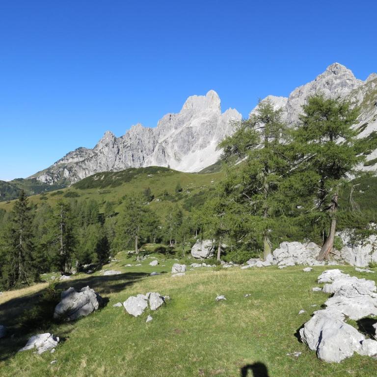 Appartement Hartl - Apartamento de 1 dormitorio con terraza - 32