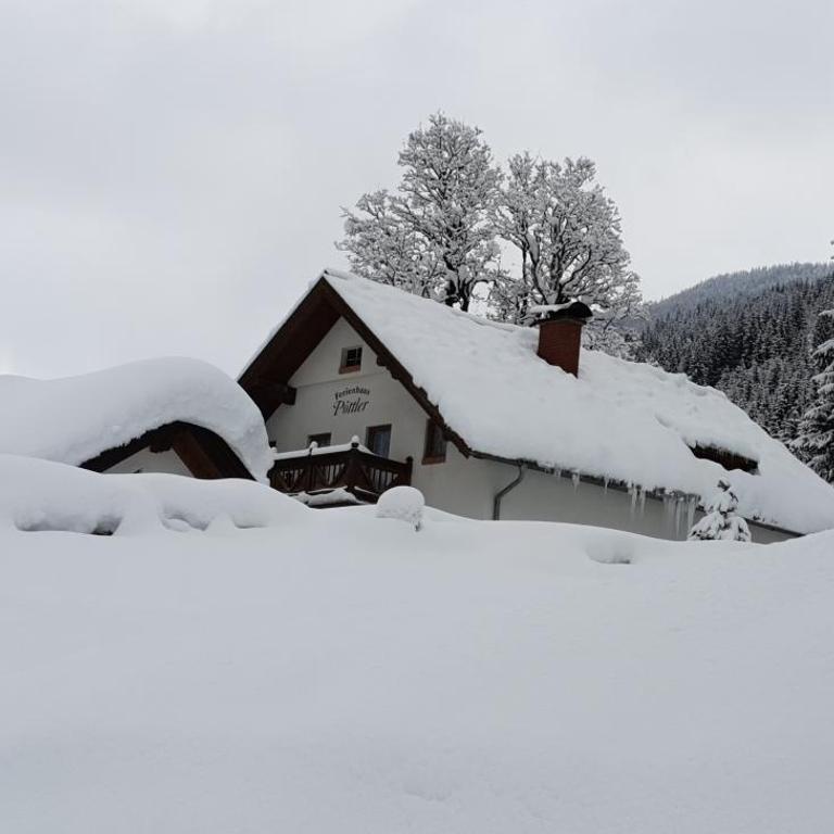 Ferienhaus Pöttler - Ferienhaus - 6