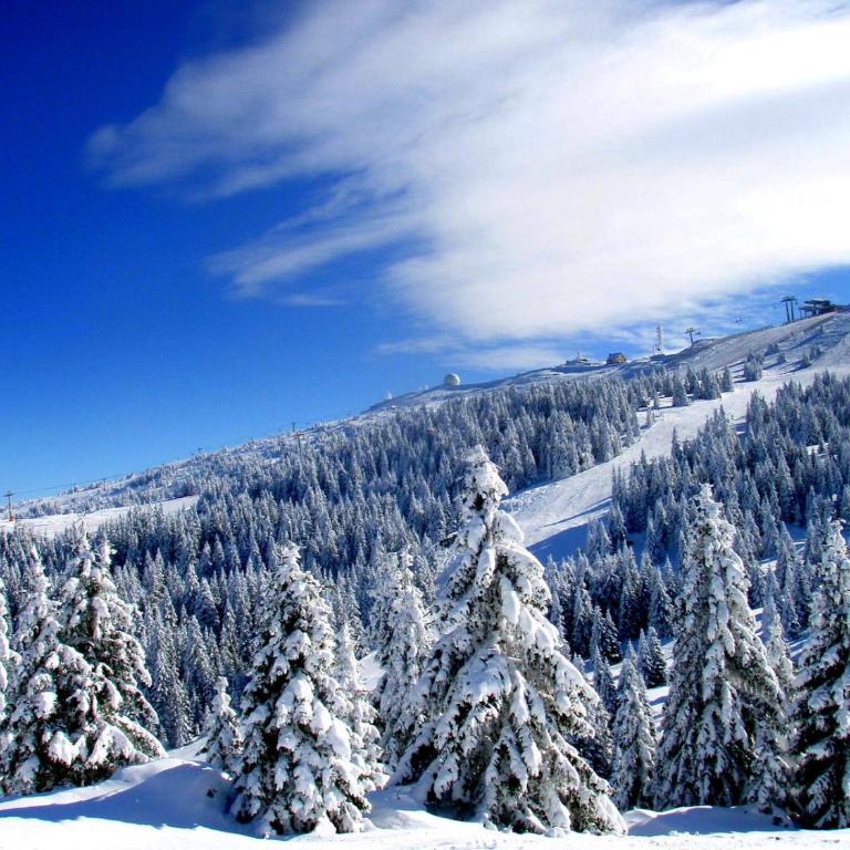 Kopaonik Superior Lux Apartman - One-Bedroom Apartment - 17
