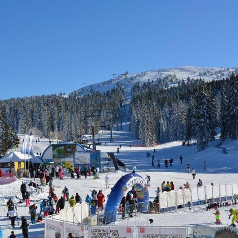 Kopaonik Superior Lux Apartman - One-Bedroom Apartment - 16