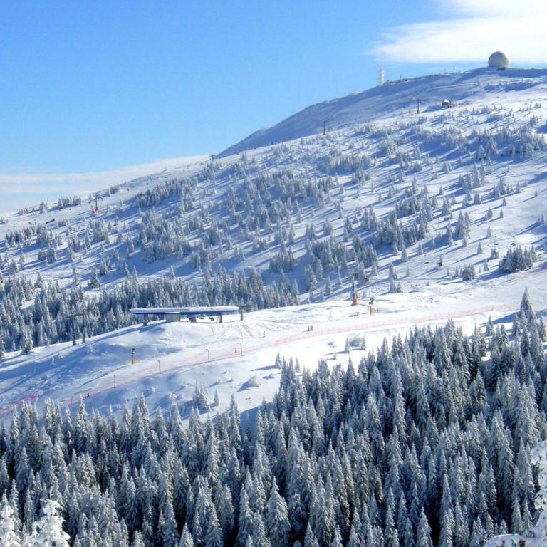 Kopaonik Superior Lux Apartman - One-Bedroom Apartment - 15