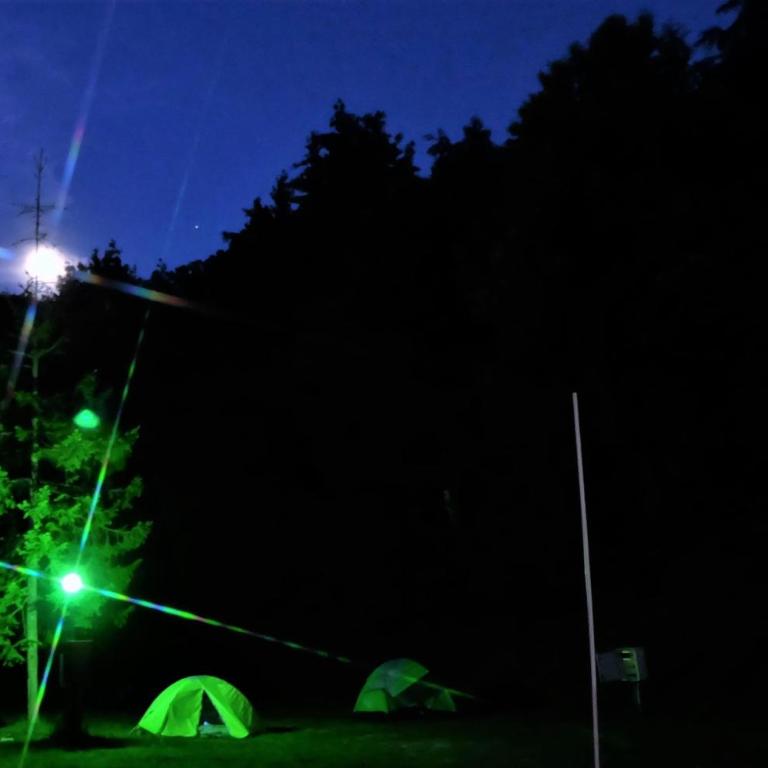 Camping Yoghi e Bubu - Emplacement nu - 2