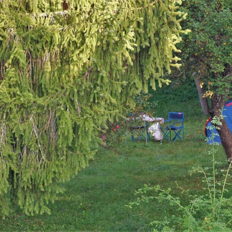 Camping Yoghi e Bubu - Emplacement nu - 5