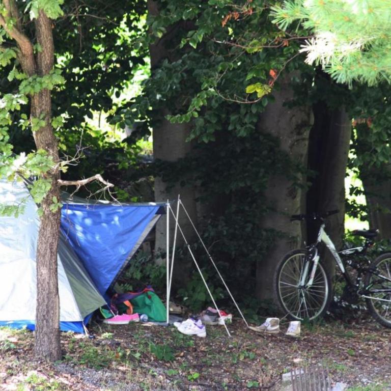 Camping Yoghi e Bubu - Emplacement nu - 3