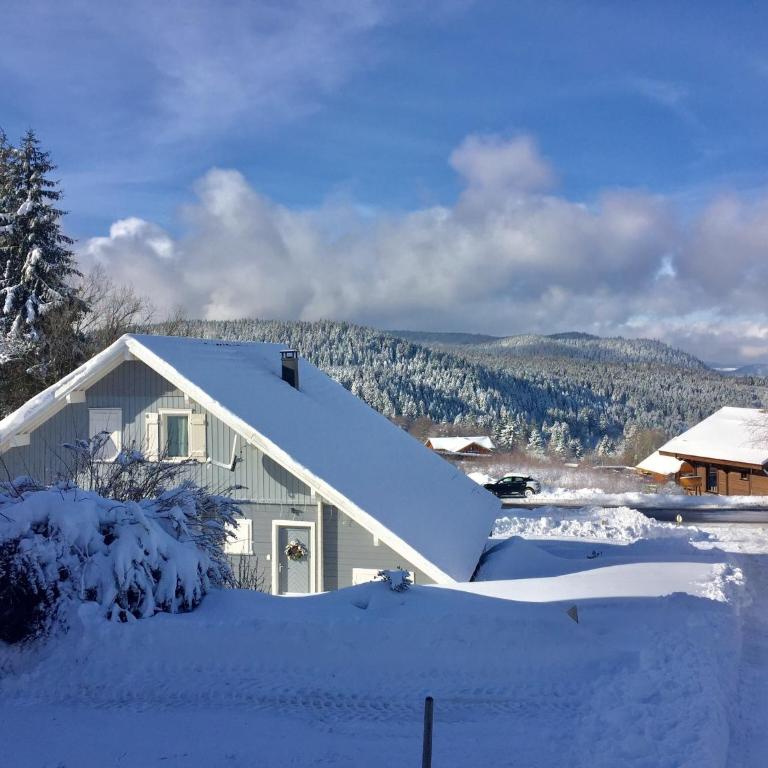 Chalet Le Flocon Bleu - Mauselaine avec vue sur le Lac de Gérardmer - Chalet 3 Chambres - 48