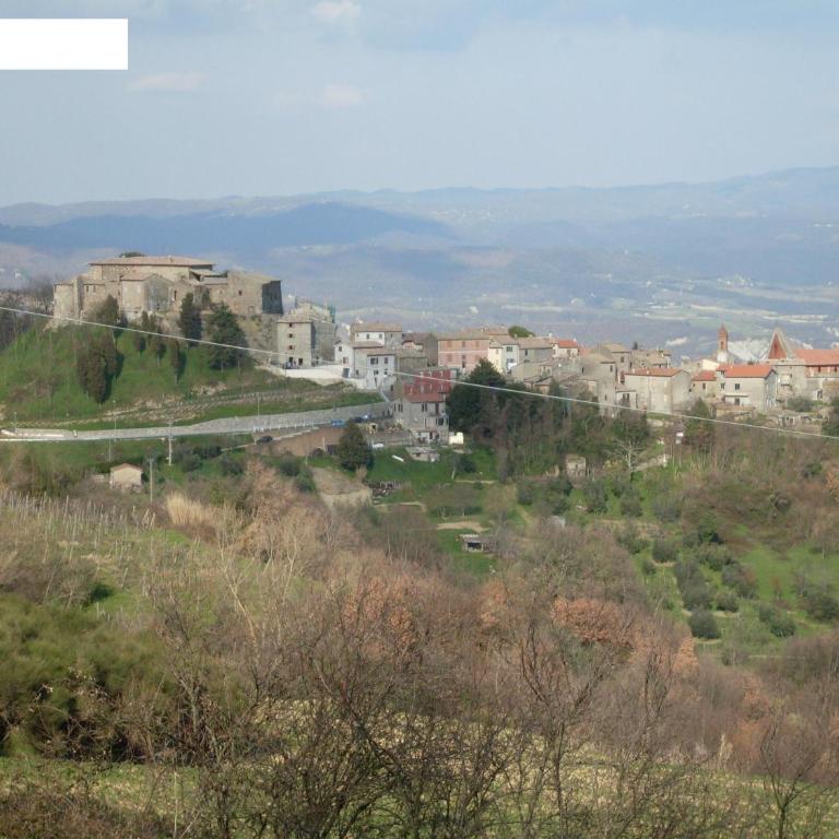 La Collina - Monolocale (2 Adulti) - 1