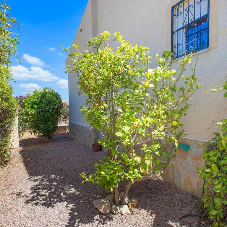 CH Villa Leonor Ciudad Quesada - Villa de 3 dormitorios - 28