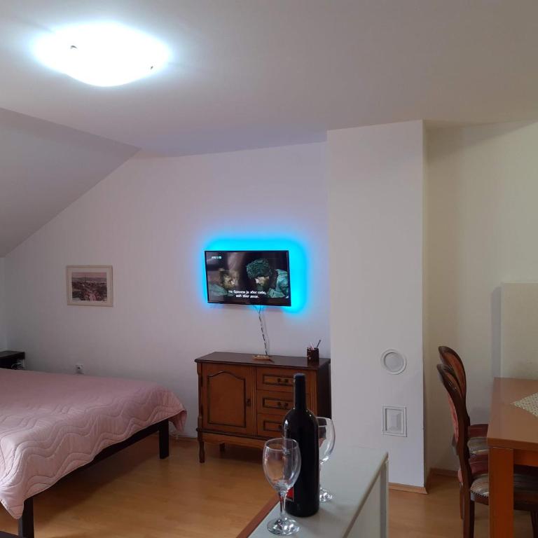 Sky Apartman - Apartman sa 1 Spavaćom Sobom - 32