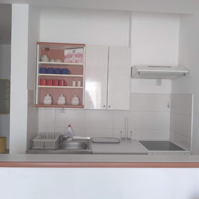 Sky Apartman - Apartman sa 1 Spavaćom Sobom - 36