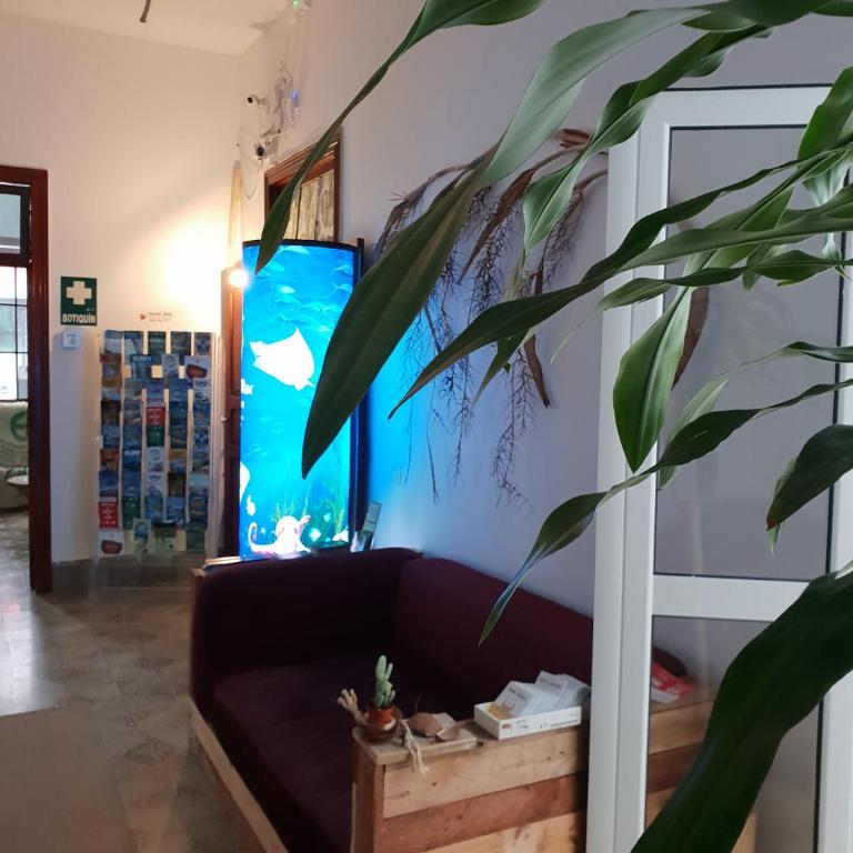 Cactus Host - Suite - 6