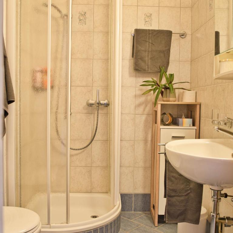 Zentrale Wohnung in St. Moritz mit großem Balkon - Apartment mit 1 Schlafzimmer - 5