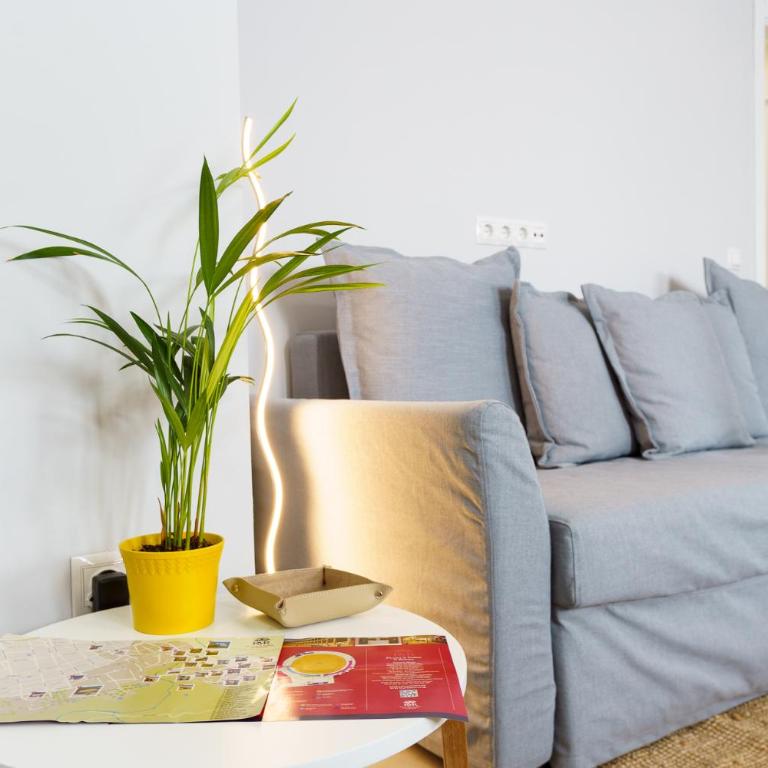 Apartamentos Circulo De Artistas - Apartamento Superior - 17