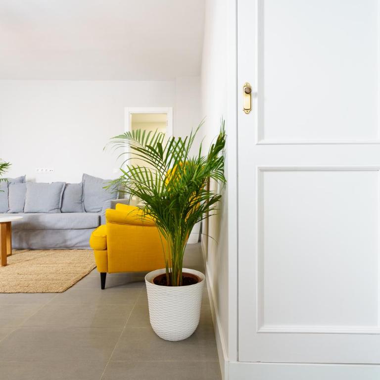 Apartamentos Circulo De Artistas - Apartamento Superior - 27