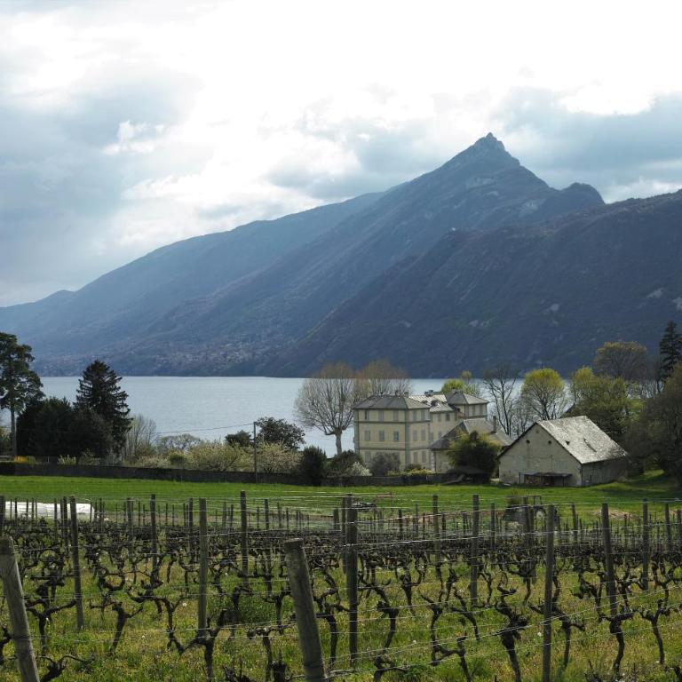 La Grange du Lac du Bourget - Maison 1 Chambre - 15