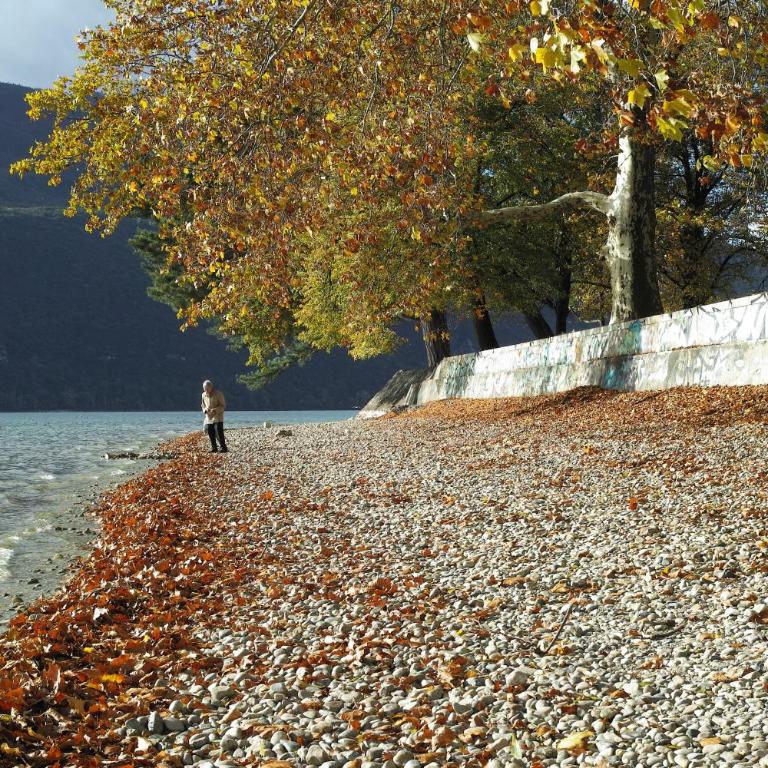 La Grange du Lac du Bourget - Maison 1 Chambre - 25