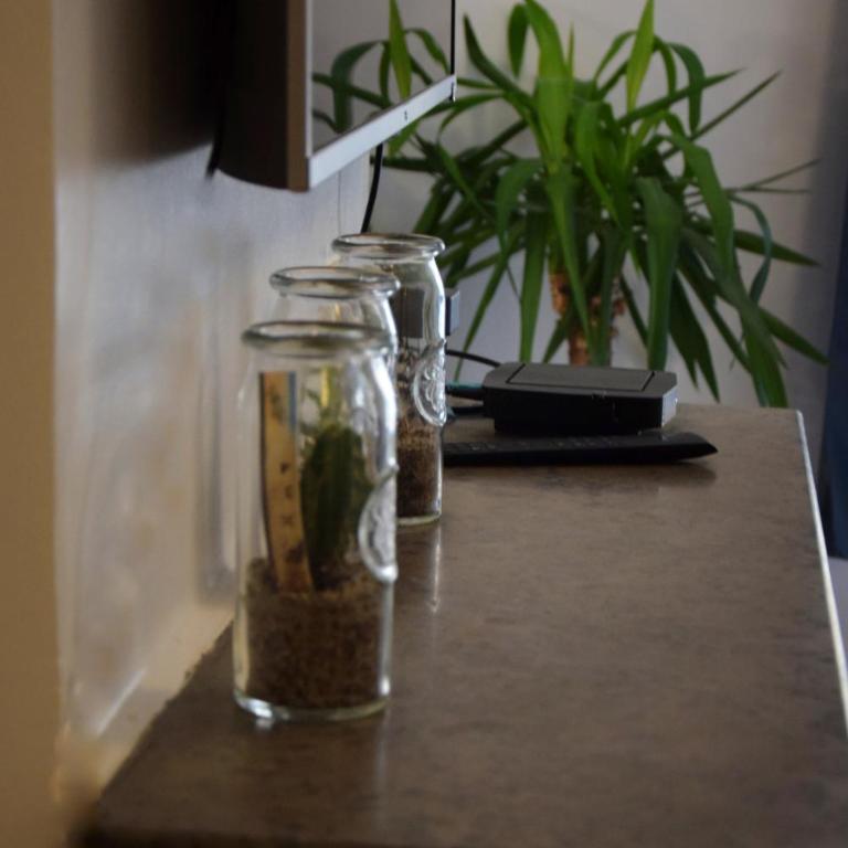 Brotteaux - Appartement - 2