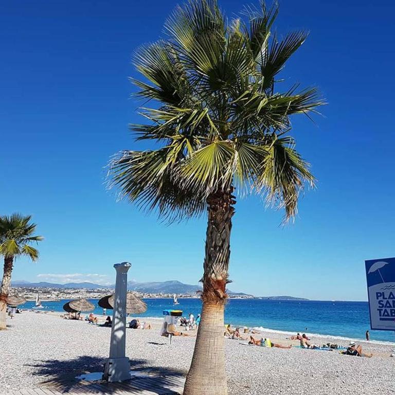 Lovely apartment in Marina Baie des Anges- Baronnet - Sew view, free parking spaces on site, restaurants, beach, supermarket - Apartamento de 1 dormitorio - 63