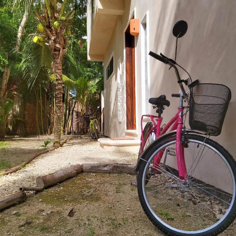 MINI PINI BIRD WATCHING AND CENOTE Loft - Villa de 1 dormitorio - 30