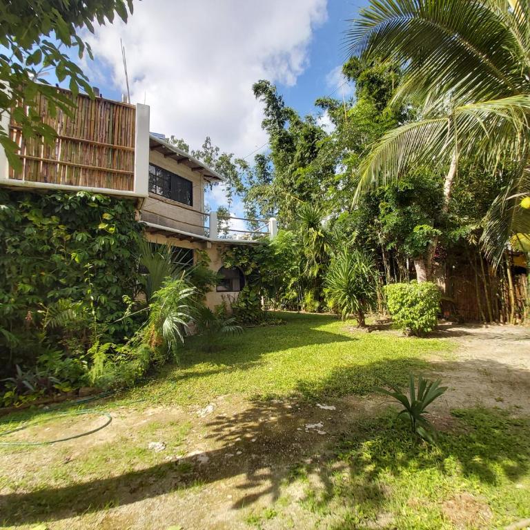MINI PINI BIRD WATCHING AND CENOTE Loft - Villa de 1 dormitorio - 31